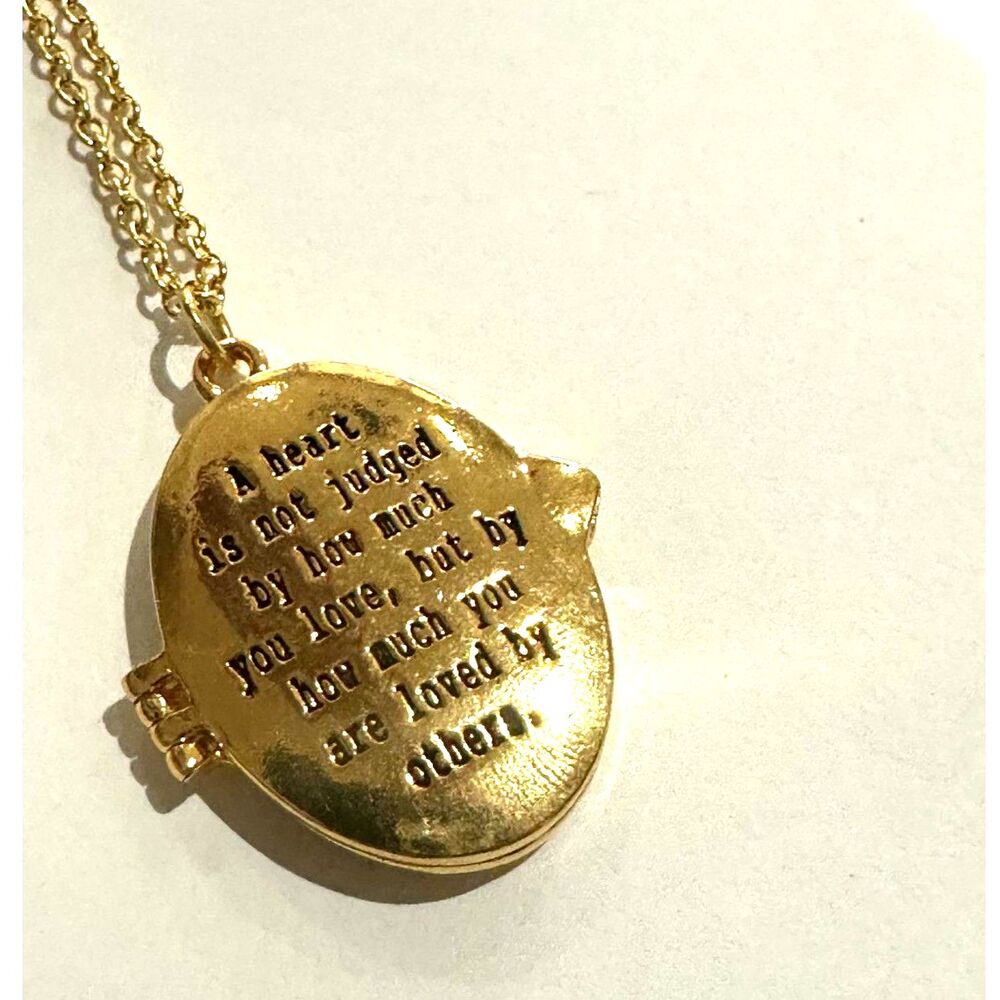 Wizard of Oz Inspired "A Heart Is Not Judged..." Premium Locket Necklace